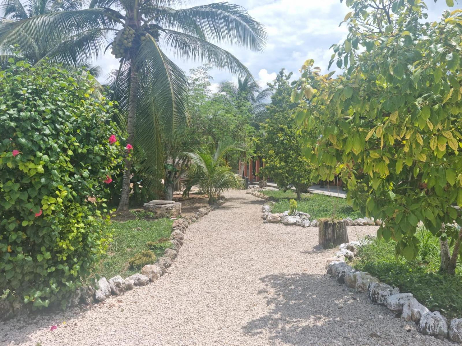 Bacalar Sunshine Hotel Exterior photo